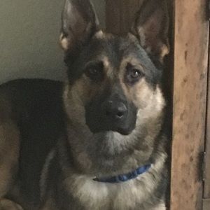 Meet your Posher, Gabriella